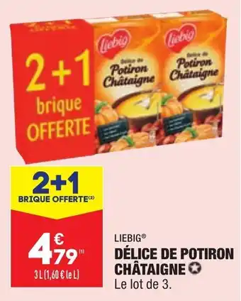 Délice de potiron châtaigne LIEBIG