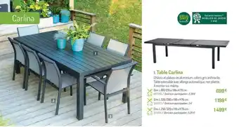 Botanic Table Carlina offre