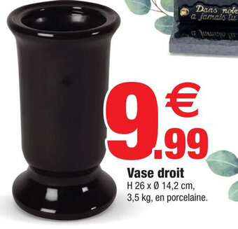 Bazarland Vase Droit offre
