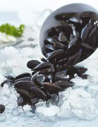 Auchan MOULE DE BOUCHOT DE LA BAIE DE SAINT BRIEUC SPÉCIALITÉ TRADITIONNELLE GARANTIE offre