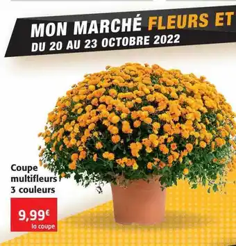 Coupe multi fleurs 3 couleurs