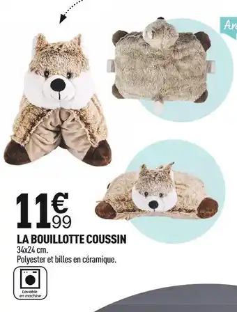 La bouillotte coussin