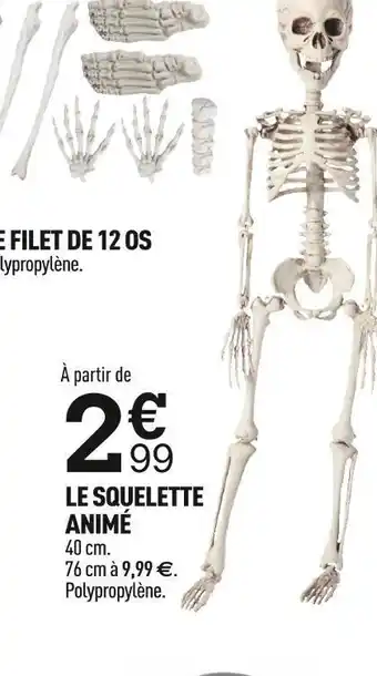 Centrakor Le squelette offre