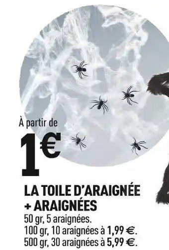 Centrakor La toile d’araignée + araignées offre