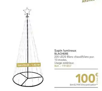 Sapin lumineux blachère