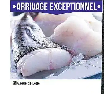Casino Supermarchés Queue de lotte offre