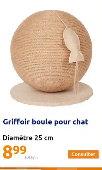 Action Griffoir Bule Pour Chat offre