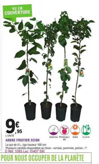 E.Leclerc Jardi Arbre Fruitier Scion offre