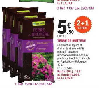Terre de Bruyere