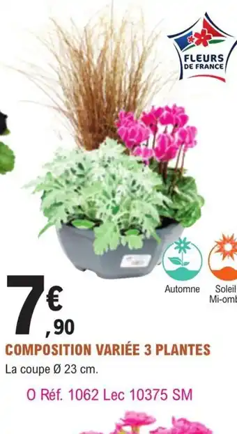 E.Leclerc Jardi Composition Variée 3 Plantes offre