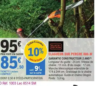 Elagueur Sur perche 800w