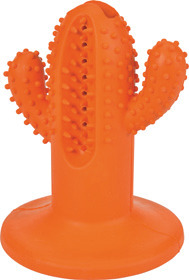 Maxi Zoo Jouet Dental care offre