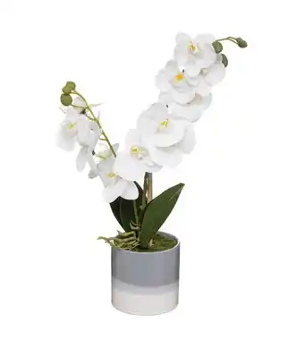 Truffaut Atmosphera - plante artificielle orchidée dans pot en céramique bicolore h 45 cm offre