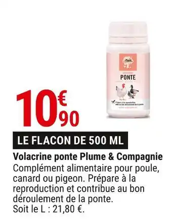 Gamm vert Plume & compagnie volacrine ponte offre
