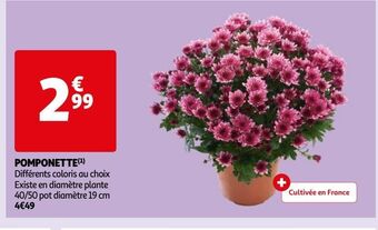 Auchan Supermarché Pomponette offre