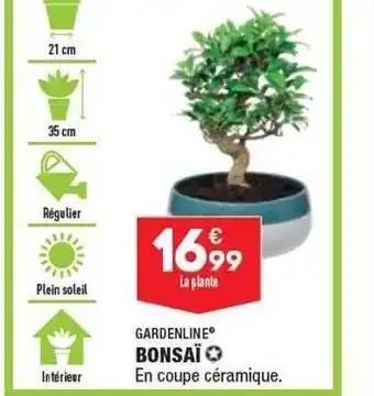 ALDI Bonsaï gardenline offre