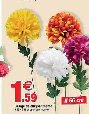 Bazarland La tige de chrysanthème offre