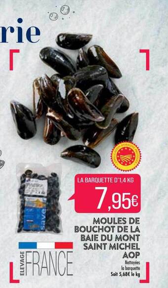 Match Moules de bouchot de la baie du mont saint michel aop offre