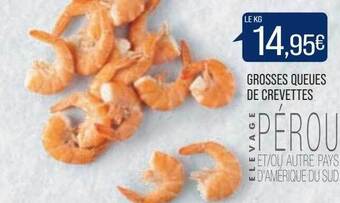Grosses queues de crevettes