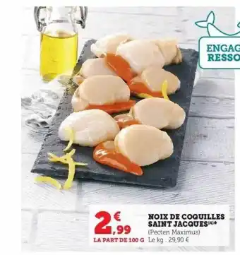 Super U Noix de coquilles saint jacques offre