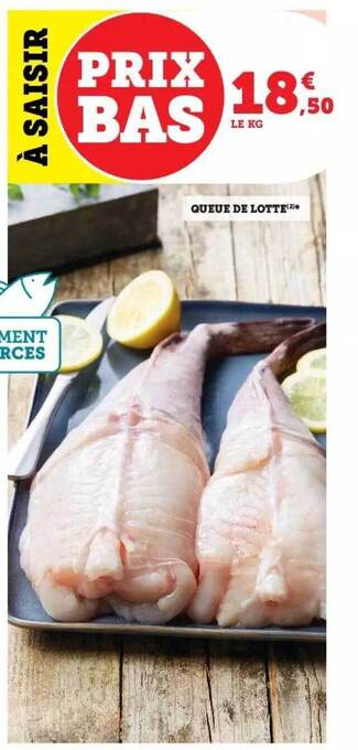 Queue de lotte