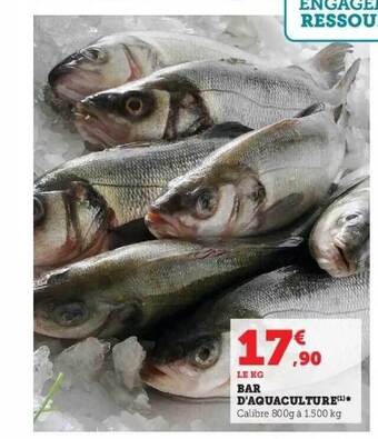 Super U Bar d'aquaculture offre