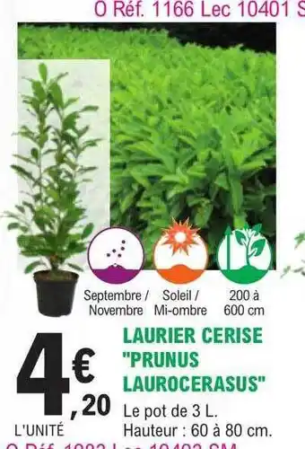 E.Leclerc Jardi Laurier cerise offre