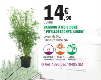 E.Leclerc Jardi Bambou à bois doré offre