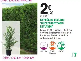 E.Leclerc Jardi Cyprès de leyland offre