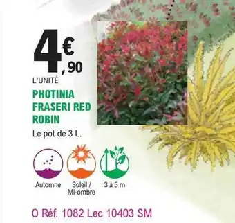 E.Leclerc Jardi Photinia fraseri red robin offre