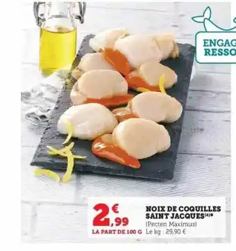 Hyper U Noix de coquilles saint jacques offre