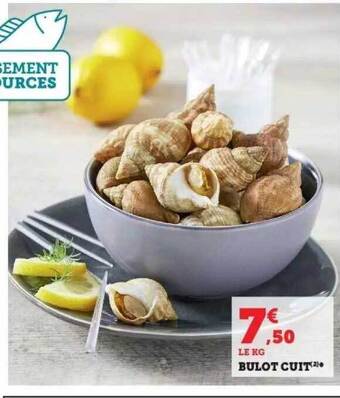 Hyper U Bulot cuit offre