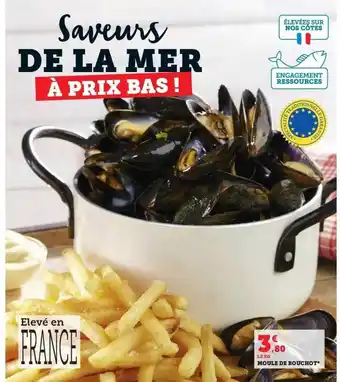 Hyper U Moule de couchot offre
