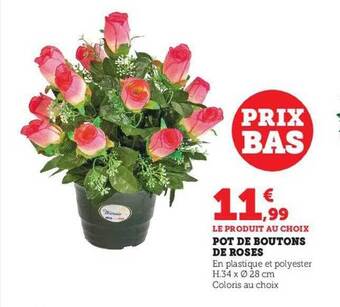 Hyper U Pot de boutons de roses offre