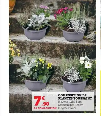 Hyper U Composition de plantes toussaint offre