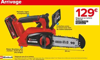 Castorama Einhell élagueuse sans fil sur batterie offre