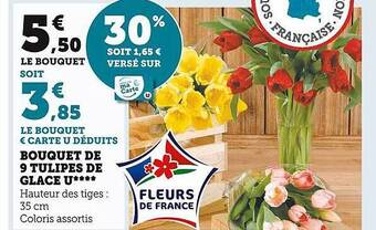Super U Bouquet de 9 tulipes de glace u offre