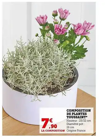 Super U Composition de plantes toussaint offre