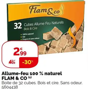 Weldom Flam & co allume-feu 100 % naturel offre