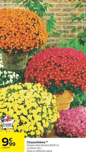 Carrefour Market Chrysanthème offre