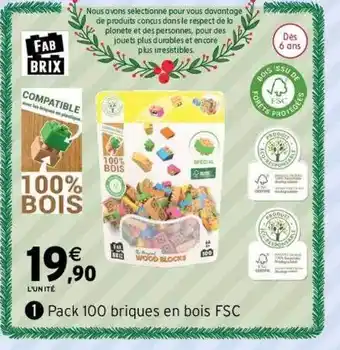 Intermarché Pack 100 briques en bois fsc offre