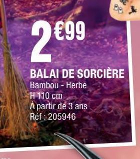 La Foir'Fouille Balai de sorciere offre