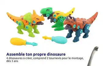 Action Assemble ton propre dinosaure offre