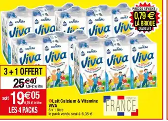 Lait Calcium & Vitamine Viva