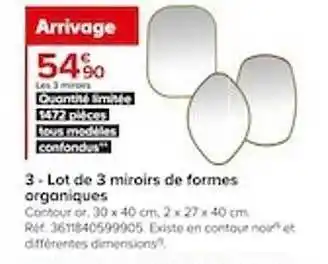 Castorama Lot de 3 miroirs de formes organiques offre