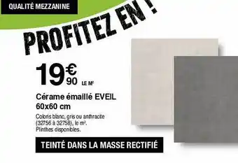 Cérame émaillé eveil 60x60 cm