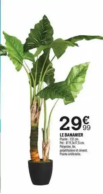 Centrakor Le Bananier offre