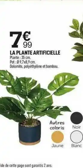 Centrakor La Plante Artificielle offre