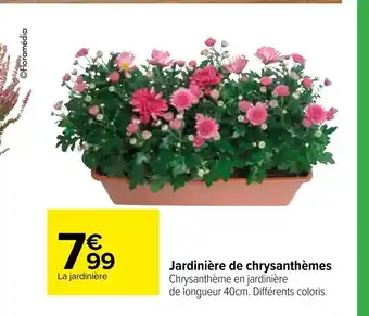 Carrefour Jardinière de Chrysanthèmes offre