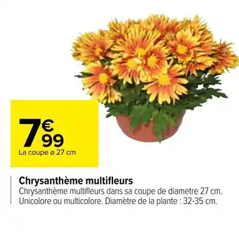 Carrefour Chrysanthème Multifleurs offre